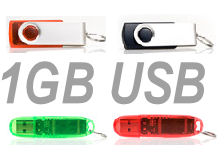 driver ad $6.99 1gb with free shipping